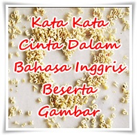 Kata Kata Cinta Dalam Bahasa Inggris Beserta Arti dan Gambar