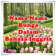 Nama Bunga  Dalam  Bahasa  Inggris  dari A Z Beserta Artinya