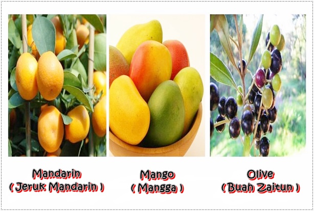 Nama buah-buahan dalam bahasa inggris beserta artinya