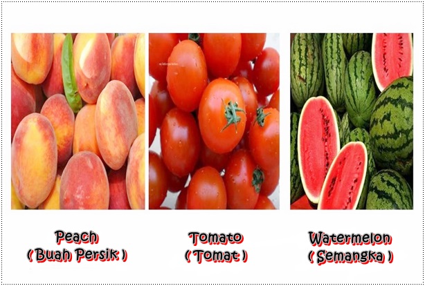 Nama nama sayuran dan buah buahan dalam bahasa inggris