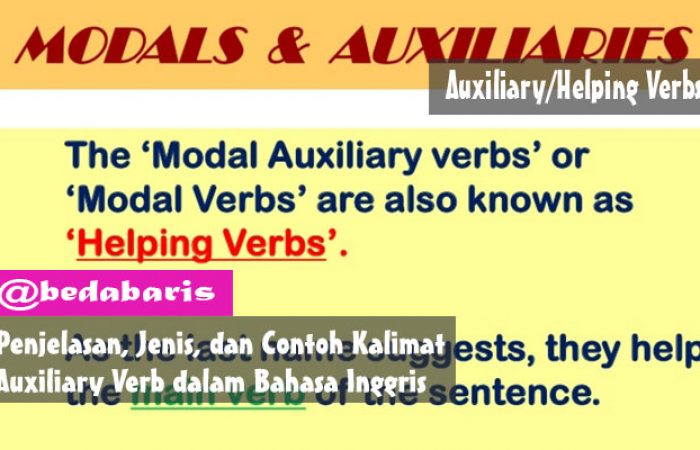 Penjelasan, Jenis, dan Contoh Kalimat Auxiliary Verb dalam Bahasa Inggris Cover