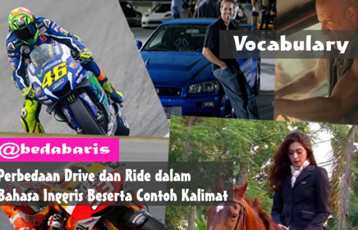 Perbedaan Drive dan Ride dalam Bahasa Inggris Beserta Contoh Kalimat