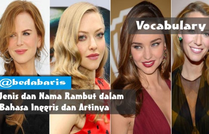 Jenis Dan Nama Rambut Dalam Bahasa Inggris Dan Artinya