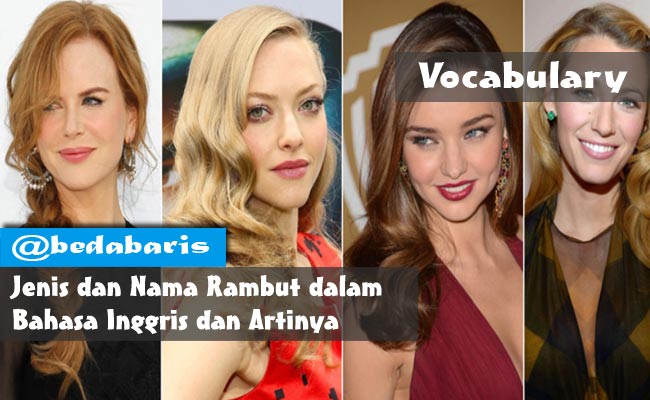 Jenis dan Nama Rambut  dalam Bahasa  Inggris  dan Artinya